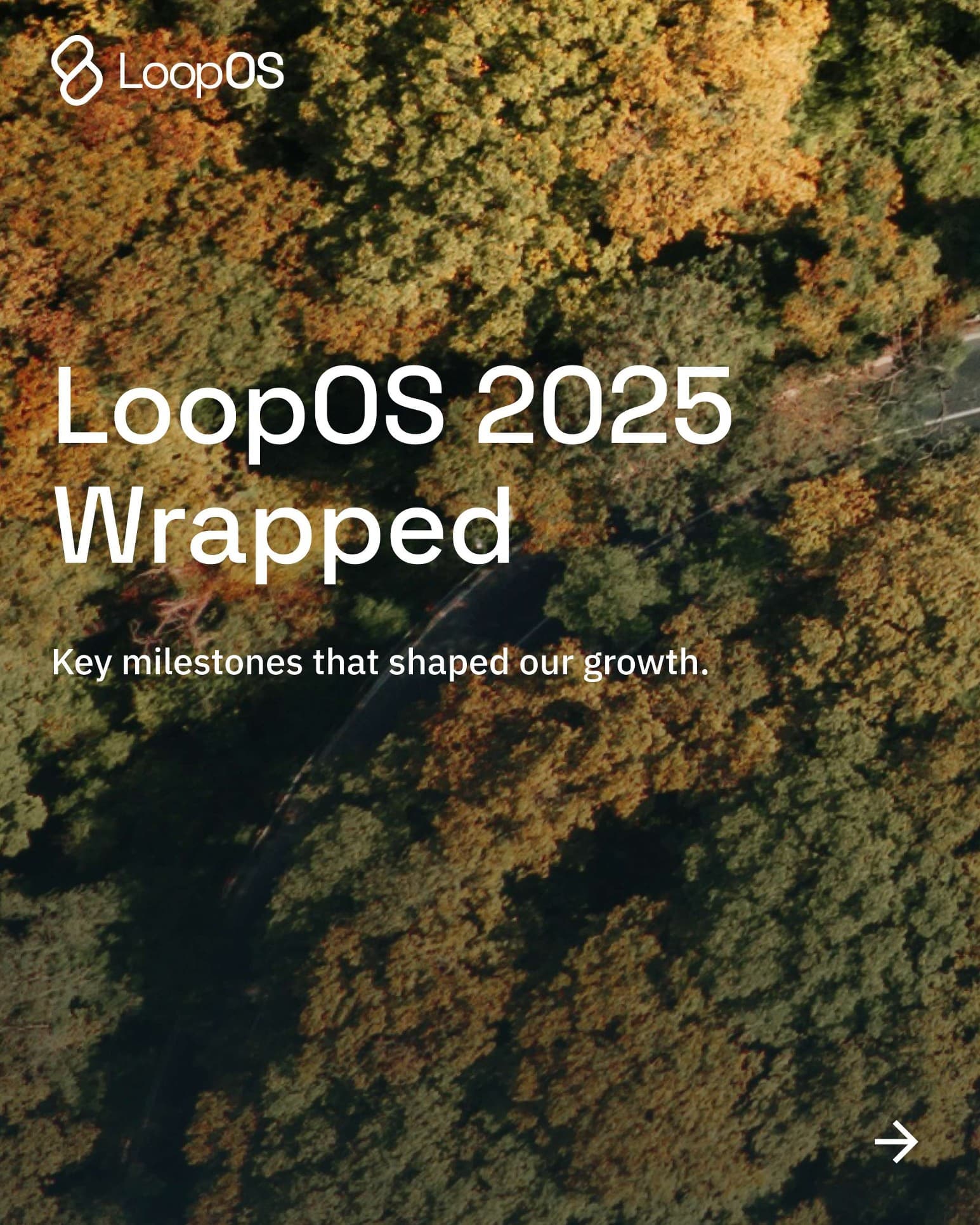 A LoopOS 2025 wrapped card highlighting a year of scale and growth.